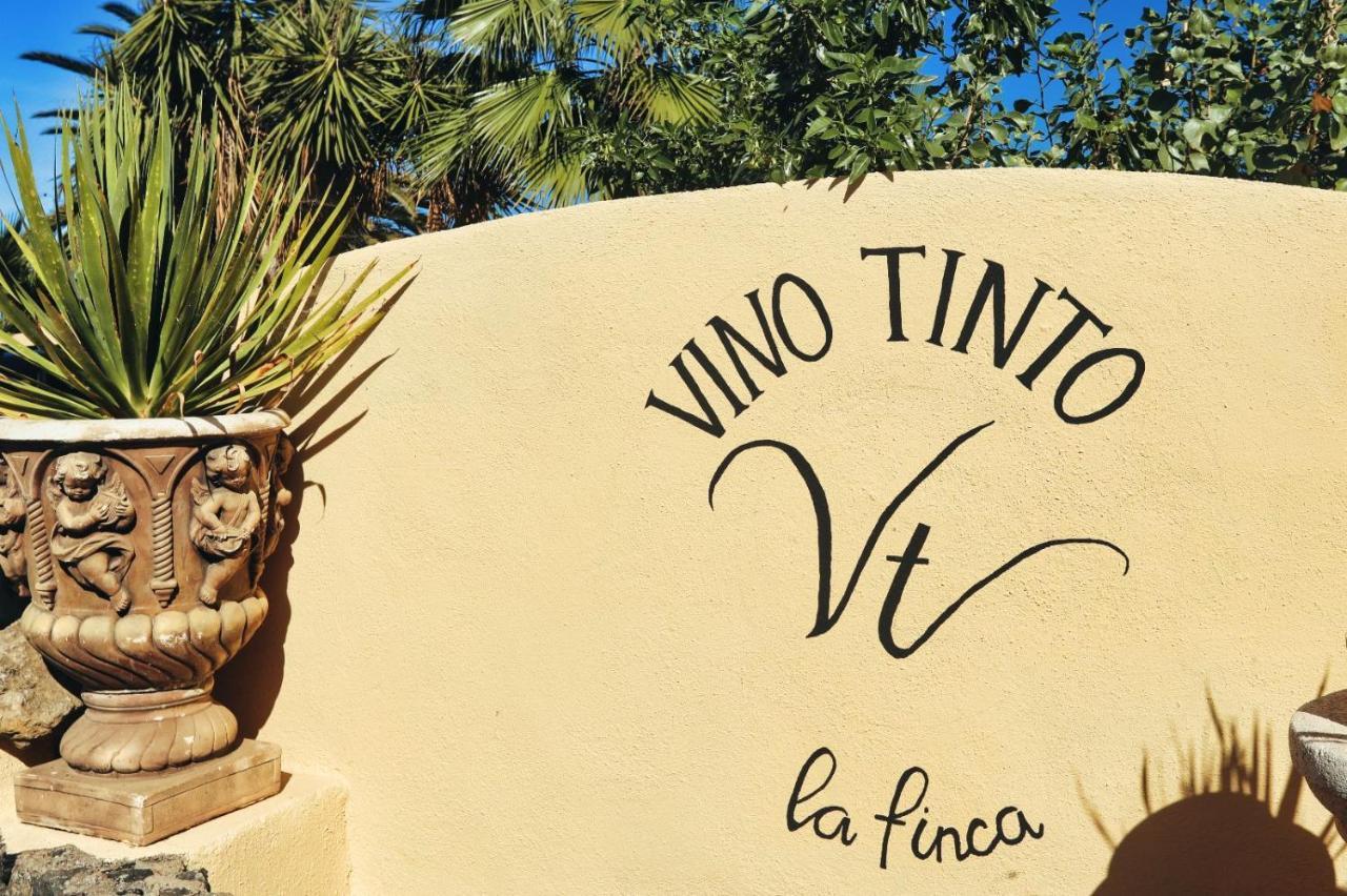 Finca Vino Tinto 1 Icod De Los Vinos Eksteriør billede